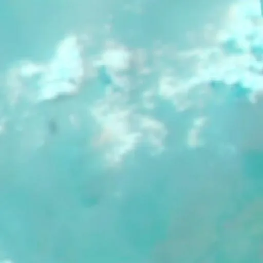 Wildfire near Mengkalip (Sep 20 · W) — NASA satellite