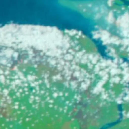 Wildfire near Merauke (Oct 2 · W #2) — NASA satellite