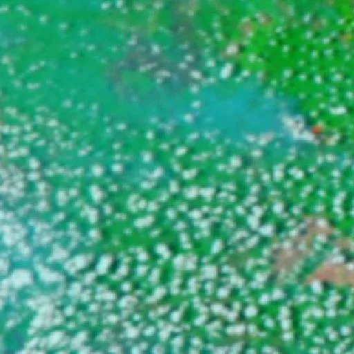 Incendio cerca de Merauke (4 oct · E #2) — NASA satellite