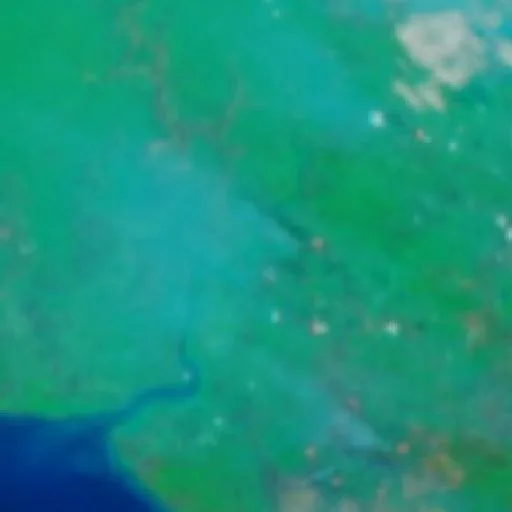 Incendio cerca de Merauke (5 oct · SW #2) — NASA satellite