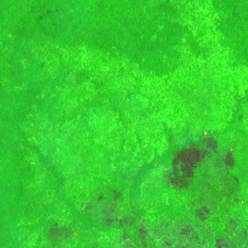 Wildfire near Merauke (Oct 6 · NW) — Sentinel-2 SWIR