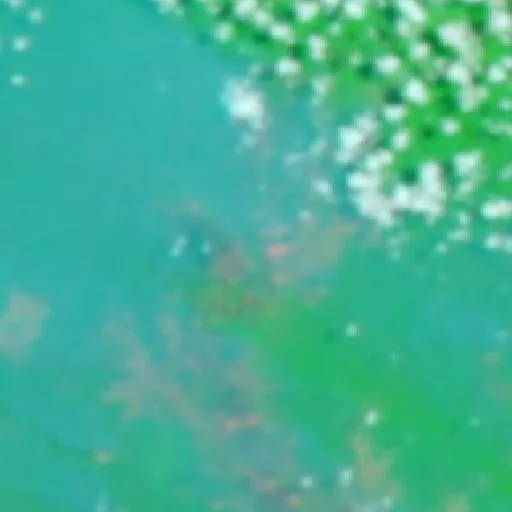 Incendio cerca de Merauke (6 oct · NE #2) — NASA satellite
