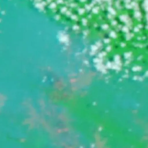 Incendio cerca de Merauke (6 oct · NE #4) — NASA satellite