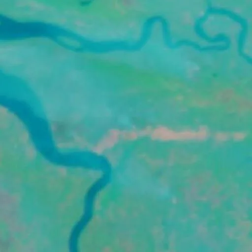 Incendio cerca de Merauke (7 oct · W #5) — NASA satellite