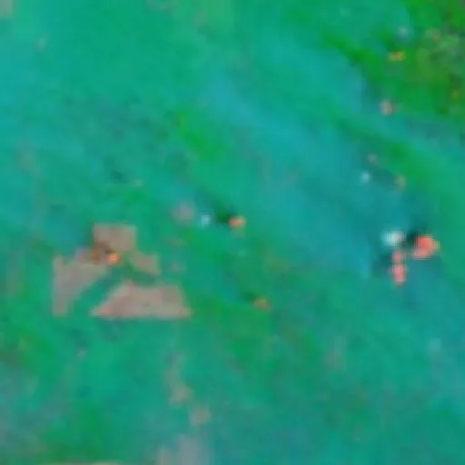 Wildfire near Merauke (Oct 10 · SE #3) — NASA satellite