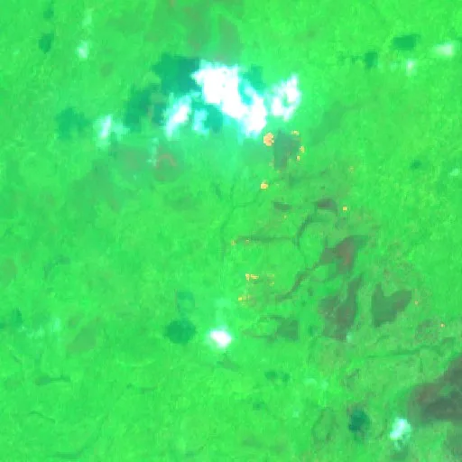 Wildfire near Merauke (Oct 16 · W #2) — Sentinel-2 SWIR (fuego)
