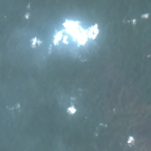 Wildfire near Merauke (Oct 16 · W #2) — Sentinel-2 true color