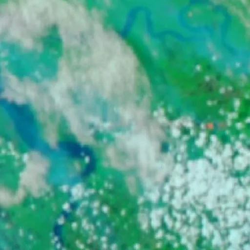 Wildfire near Merauke (Sep 24 · W) — NASA satellite