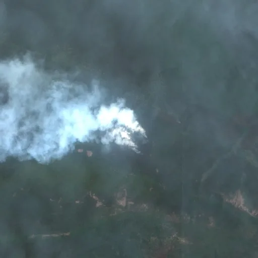 Incendio cerca de Merauke (11 oct · W) — Sentinel-2 true color