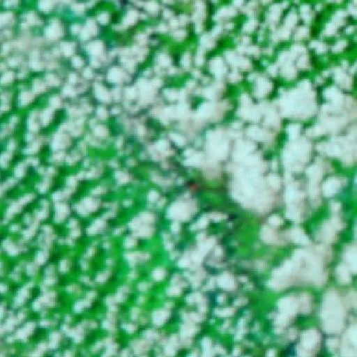 Incendio cerca de Merauke (24 sep · E) — NASA satellite