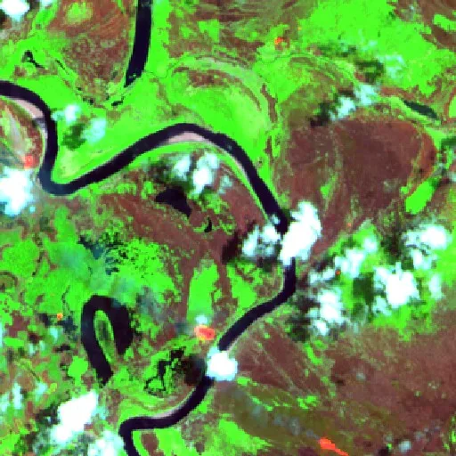 Incendio cerca de Merauke (11 oct · NE) — Sentinel-2 SWIR (fuego)