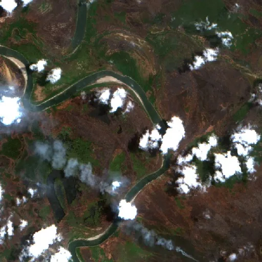 Incendio cerca de Merauke (11 oct · NE) — Sentinel-2 true color