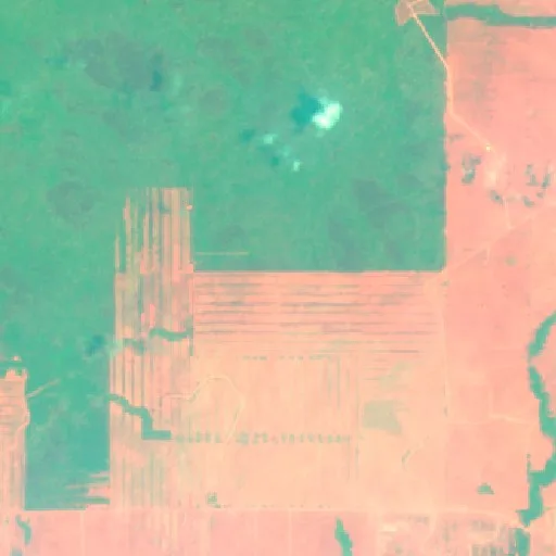 Wildfire near Merauke (Oct 12 · SE) — Sentinel-2 SWIR (fuego)