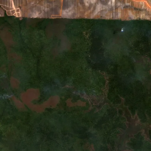 Wildfire near Merauke (Oct 12 · SE) — Sentinel-2 true color