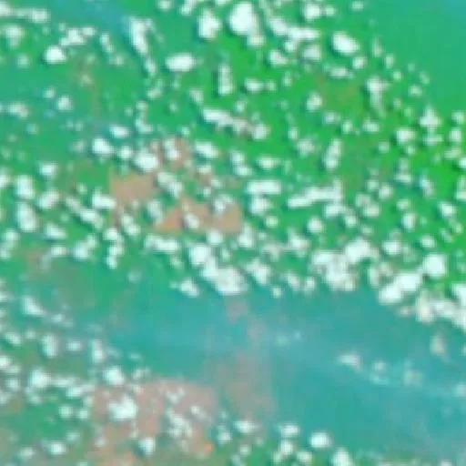 Wildfire near Merauke (Sep 26 · SE #2) — NASA satellite