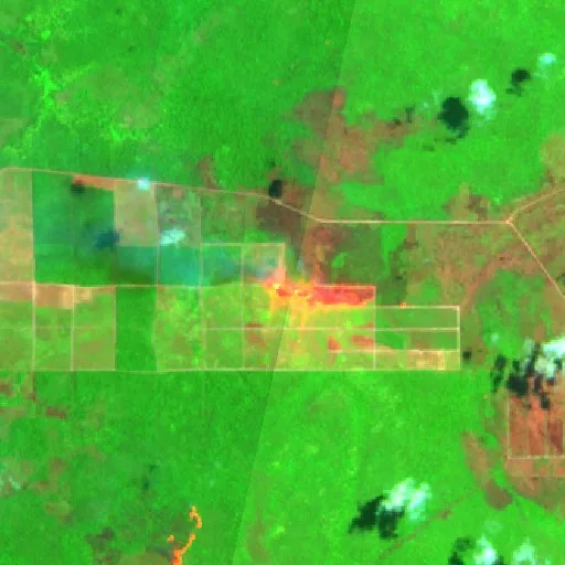 Wildfire near Merauke (Sep 28) — Sentinel-2 SWIR (fuego)