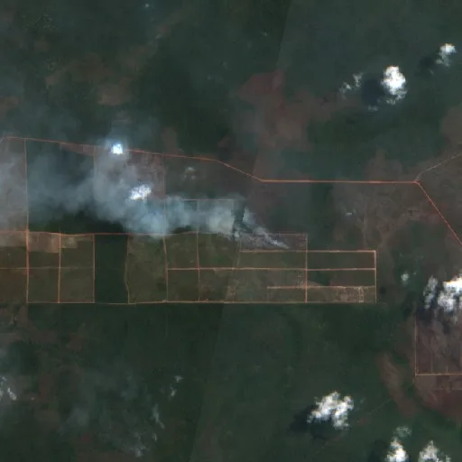 Wildfire near Merauke (Sep 28) — Sentinel-2 true color