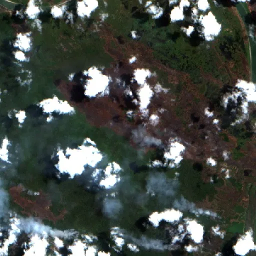 Wildfire near Merauke (Sep 28 · NE) — Sentinel-2 true color