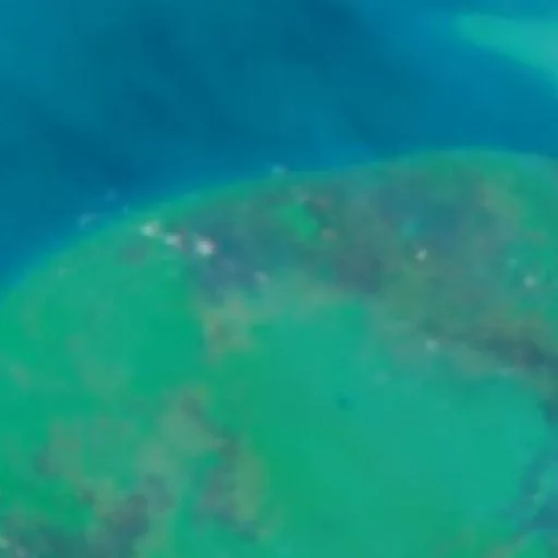 Incendio cerca de Merauke (29 sep · W #2) — NASA satellite