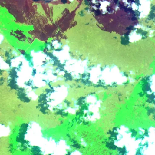 Wildfire near Merauke (Oct 7 · W #2) — Sentinel-2 SWIR (fuego)