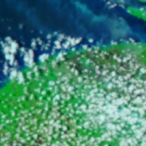 Wildfire near Merauke — NASA satellite