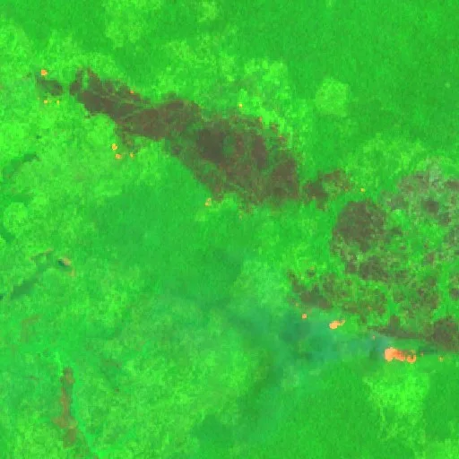 Incendio cerca de Middle Fly District — Sentinel-2 SWIR (fuego)