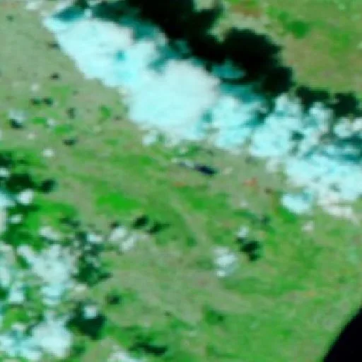 Wildfire near Miglionico — NASA satellite
