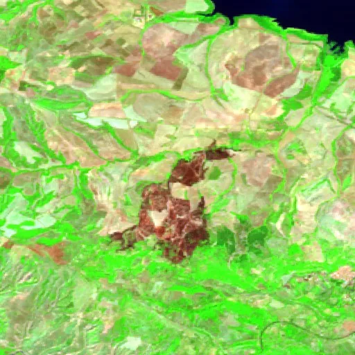 Wildfire near Miglionico — Sentinel-2 SWIR (fuego)