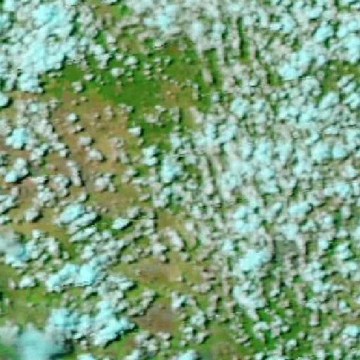 Miles Bushfire — NASA satellite
