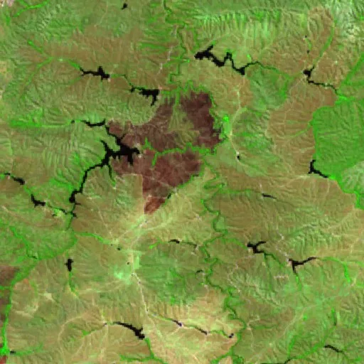 Wildfire near Mimoso de Goiás (Aug 21) — Sentinel-2 SWIR (fuego)