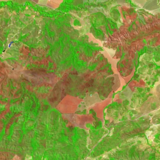 Incendio cerca de Mimoso de Goiás (1 sep) — Sentinel-2 SWIR (fuego)