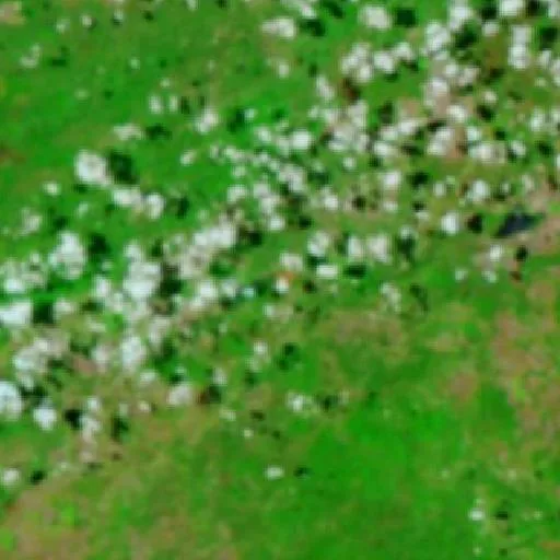 Wildfire near Mimoso de Goiás (Oct 7) — NASA satellite