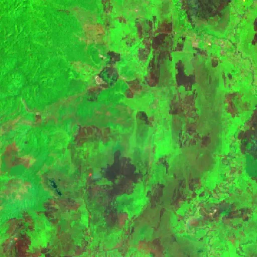 Wildfire near Moanemani — Sentinel-2 SWIR (fuego)