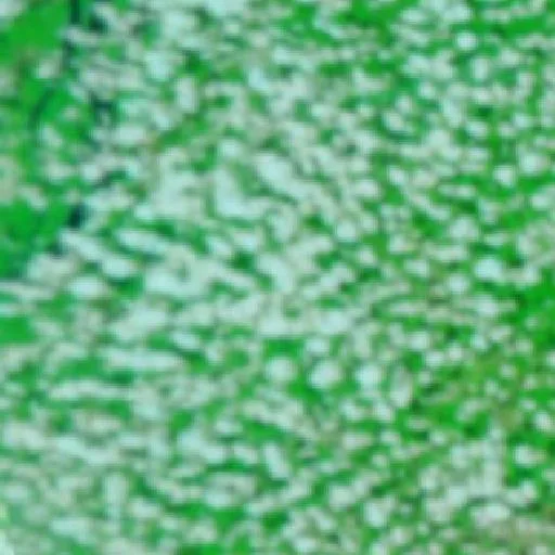 Wildfire near Mocajuba — NASA satellite