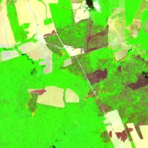 Wildfire near Mojuí dos Campos (Oct 9) — Sentinel-2 SWIR (fuego)