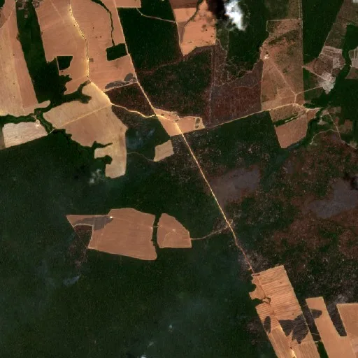 Wildfire near Mojuí dos Campos (Oct 9) — Sentinel-2 true color