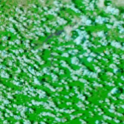 Incendio cerca de Mojuí dos Campos — NASA satellite