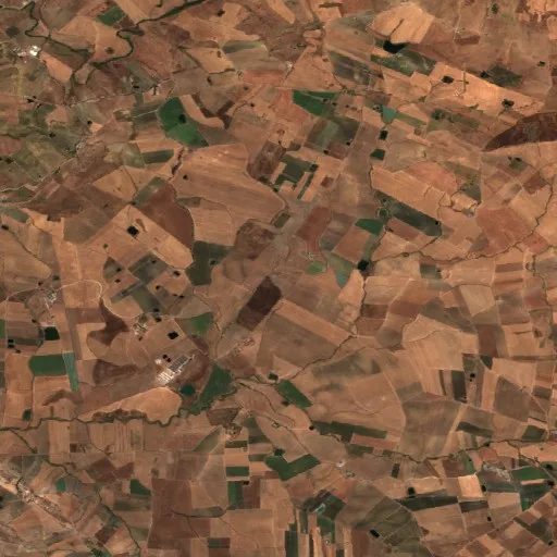 Wildfire near Monreale (Aug 4) — Sentinel-2 true color