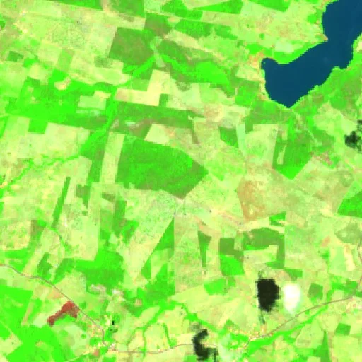 Incendio cerca de Monte Alegre — Sentinel-2 SWIR (fuego)