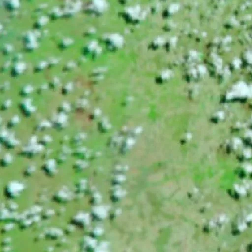 Wildfire near Monte Alegre de Goiás (Sep 29) — NASA satellite