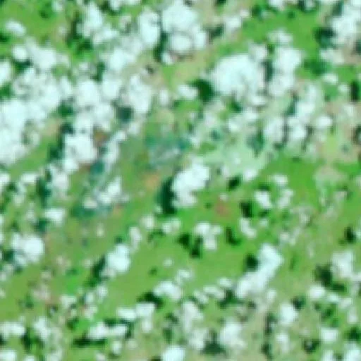 Incendio cerca de Monte Alegre do Piauí (13 sep) — NASA satellite