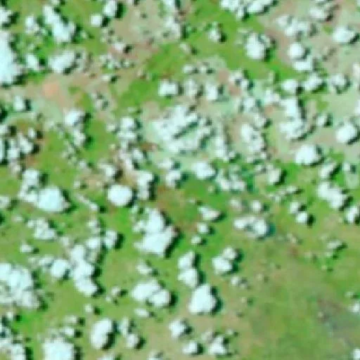 Wildfire near Monte Alegre do Piauí (Oct 1) — NASA satellite