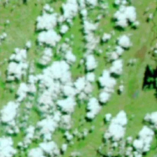 Incendio cerca de Montividiu do Norte — NASA satellite