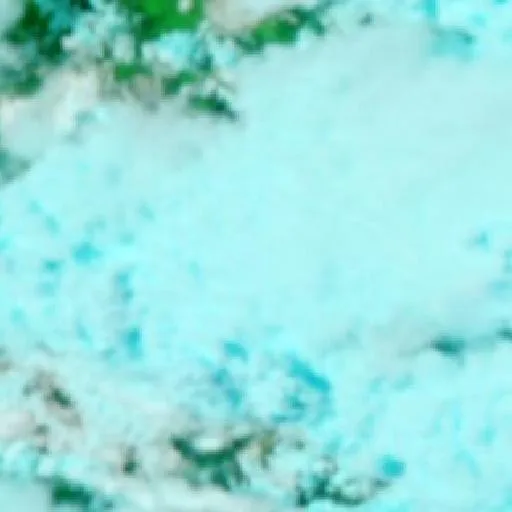 Moolboolaman Bushfire — NASA satellite