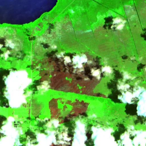 Wildfire near Morón — Sentinel-2 SWIR (fuego)