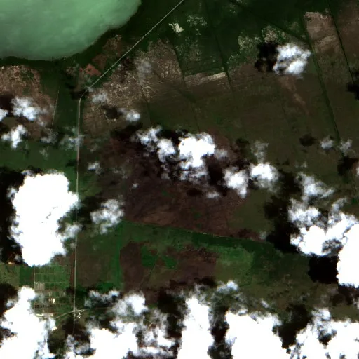Wildfire near Morón — Sentinel-2 true color