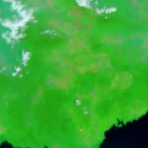 Wildfire near Morowali Utara — NASA satellite