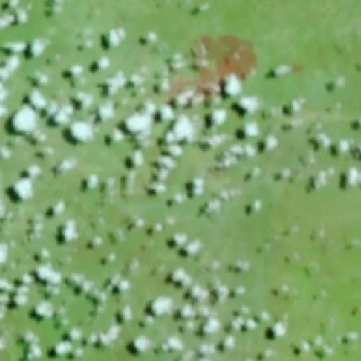 Incendio cerca de Morro Cabeça no Tempo (6 oct) — NASA satellite