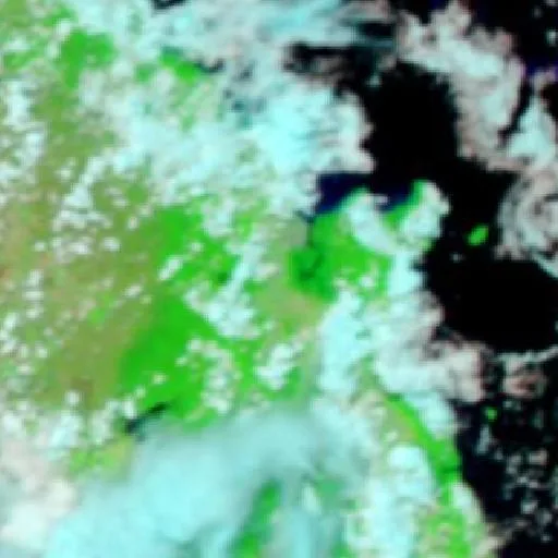 Incendio cerca de Mount Sheridan — NASA satellite