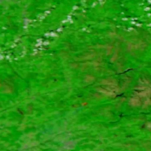 Wildfire near Mozelos — NASA satellite